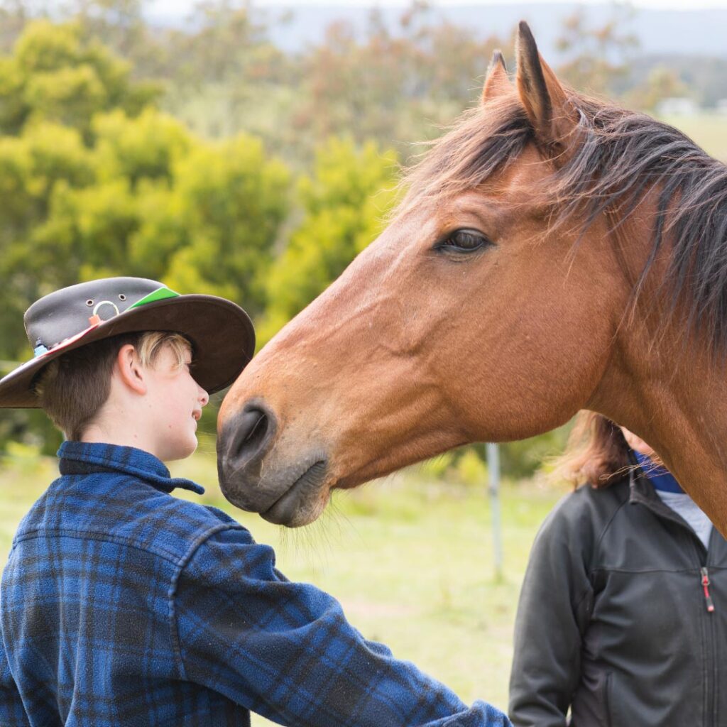 Possible Benefits of Equine-Assisted Therapy: Equestrian Therapy for ...